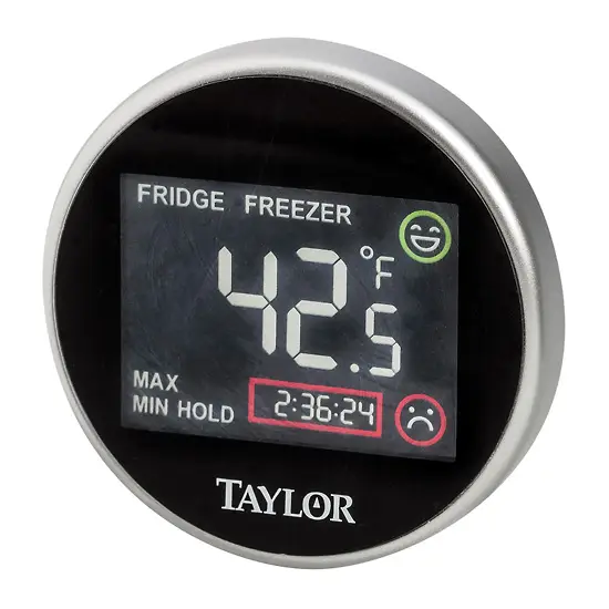 TAYLOR SAFTEY THERMOMETER