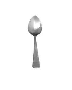 SS GRAPEFRUIT SPOON